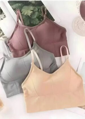 Women Everyday Lightly Padded Bra  (Multicolor)